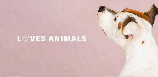 生きとし生けるものすべてへ捧げるコレクション『 L♡VES ANIMALS 』
